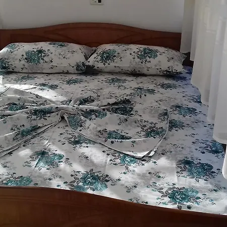 旅馆 Kruja Hostel