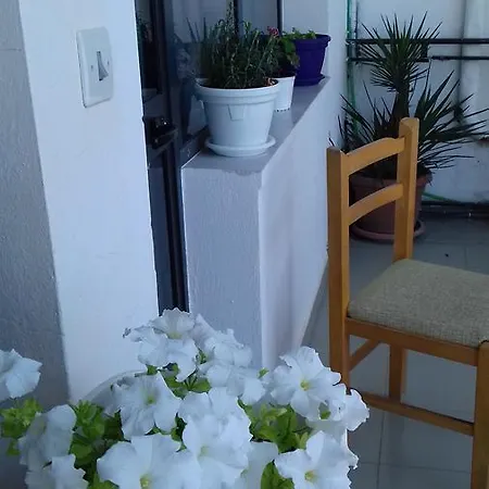 Kruja Hostel 旅馆 Krujë