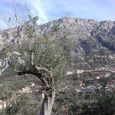 Kruja Hostel *